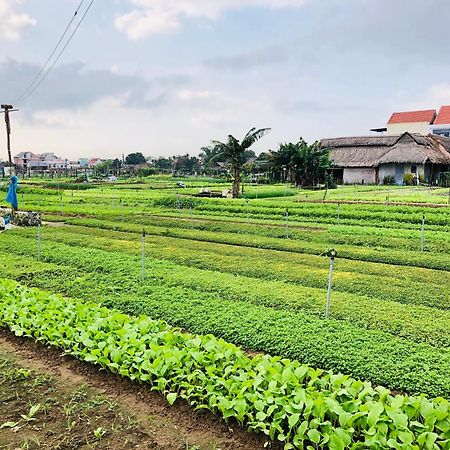 Snow Pearl Homestay Hoi An Luaran gambar